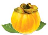 Garcinia Cambogia